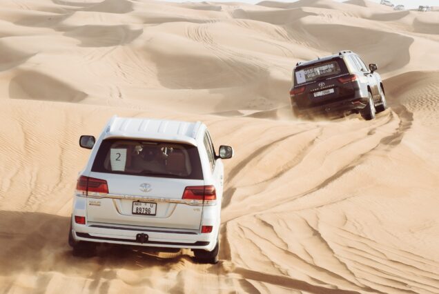 Dubai Desert Safari