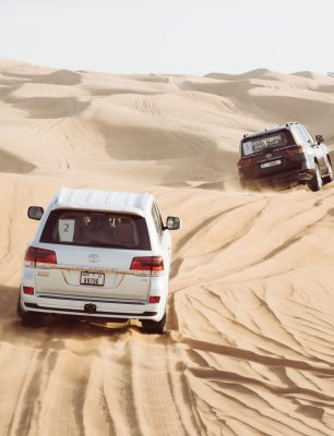 Dubai Desert Safari